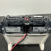 Invitrogen Mini Gel Tank image 2